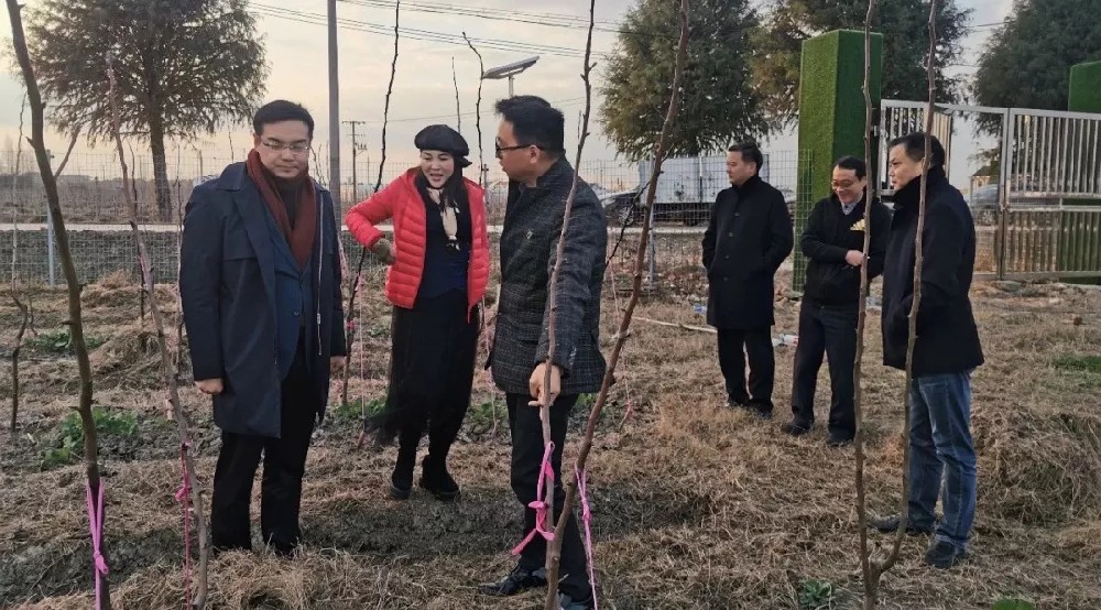 上海市金山区农委苏书记一行领导莅临月财农业