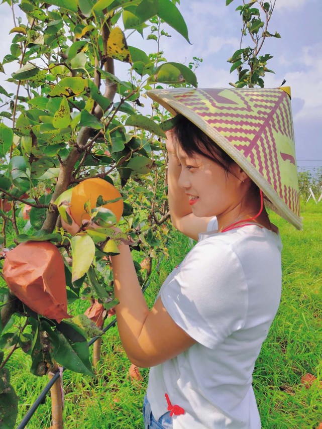 号外！号外！有一种水果能吃出“四种味道”，你尝过吗？