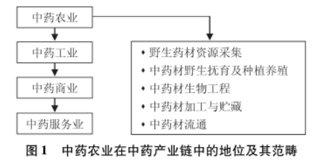 我国中药农业现状分析与发展趋势思考