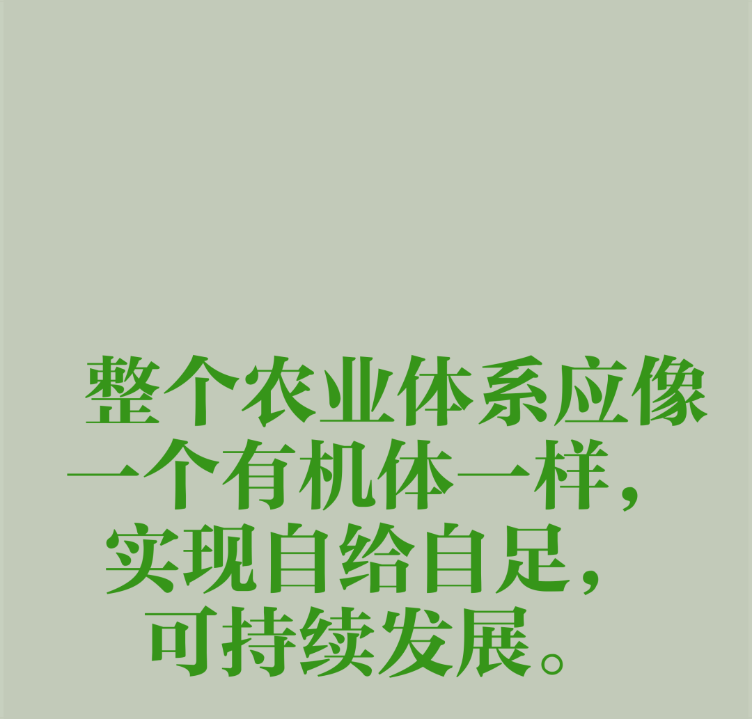 中国农业百科全书农业历史卷中传统农业的概念_农业物联网概念_有机农业概念