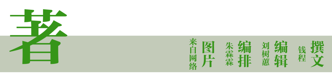 农业物联网概念_有机农业概念_中国农业百科全书农业历史卷中传统农业的概念