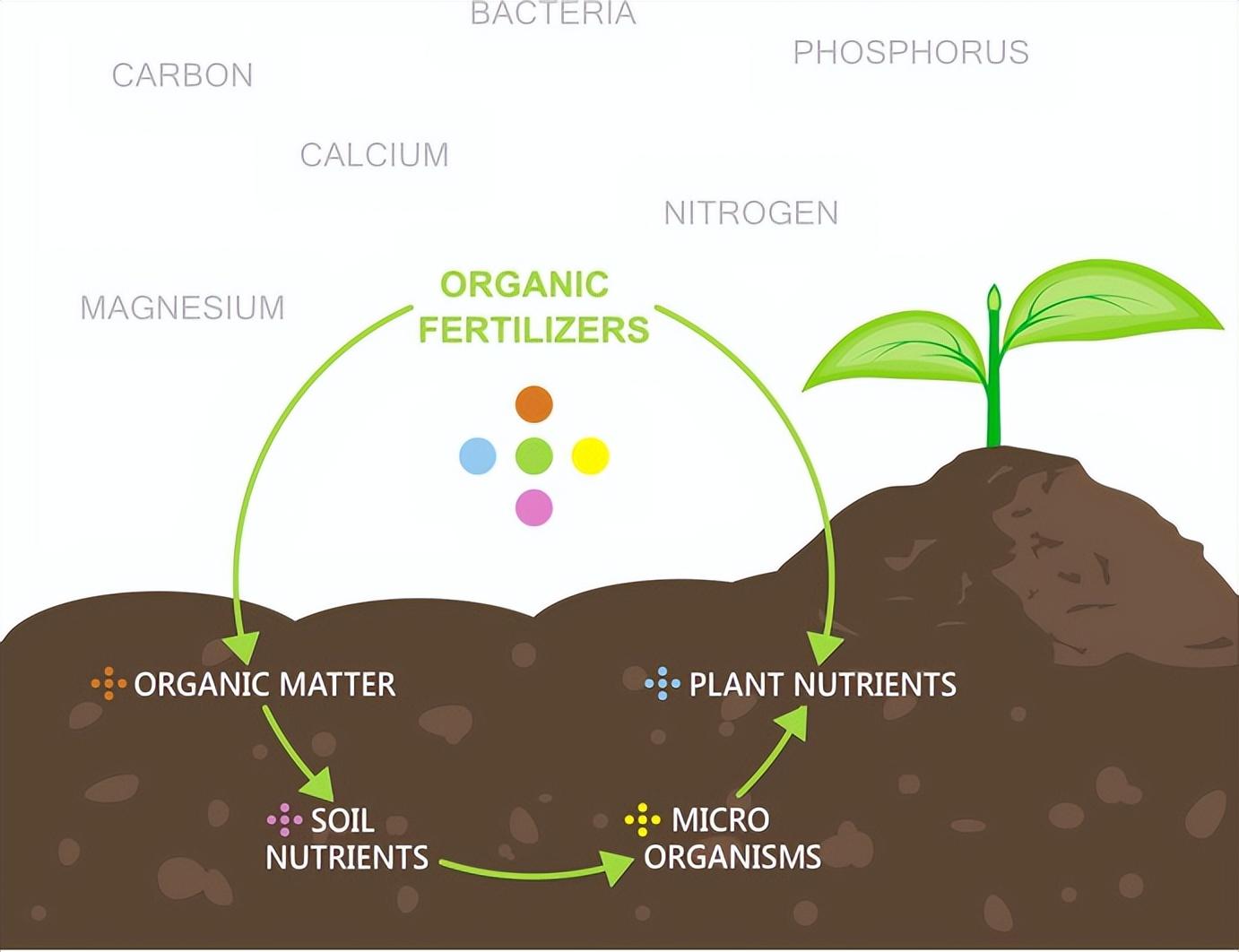 市场上的“有机肥”不等同于“有机标准中允许使用的肥料”