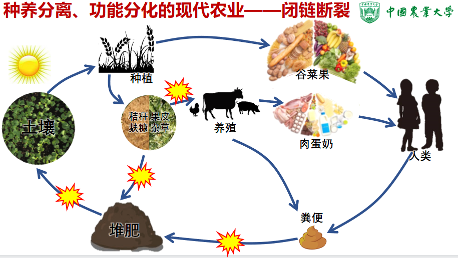 支持农业规模化生产和集约化经营存在的问题和意见建议_杨梅生产实用新技术/效益农业丛书_有机农业生产的现状与发展