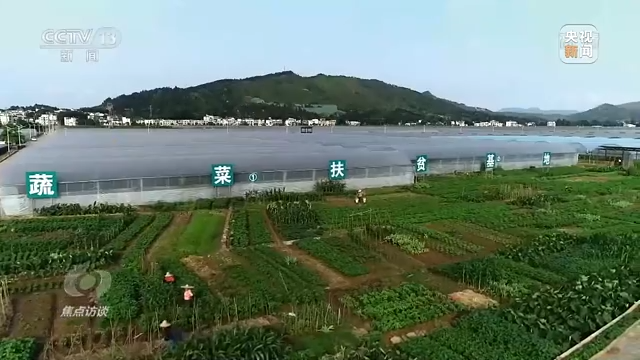 有机农业发展前景_农业担保公司前景如何_生态循环农业模式前景