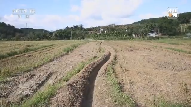 农业担保公司前景如何_生态循环农业模式前景_有机农业发展前景