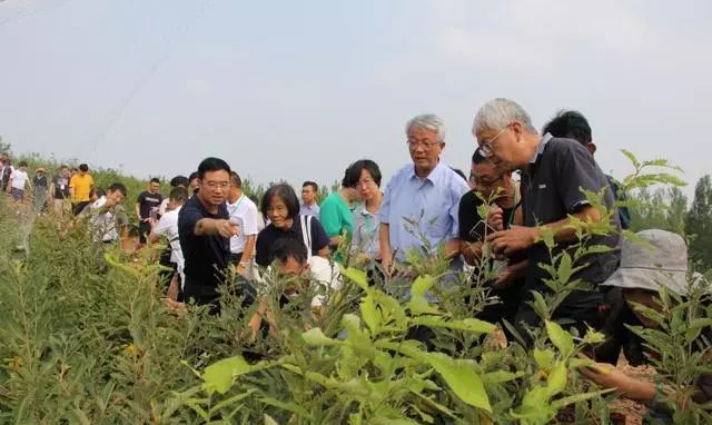 农业集约化生产_什么叫农业规模化生产_有机农业生产的现状与发展