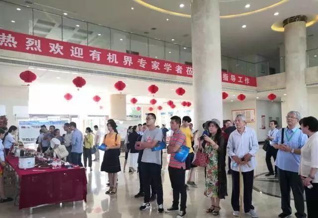 有机农业生产的现状与发展_农业集约化生产_什么叫农业规模化生产