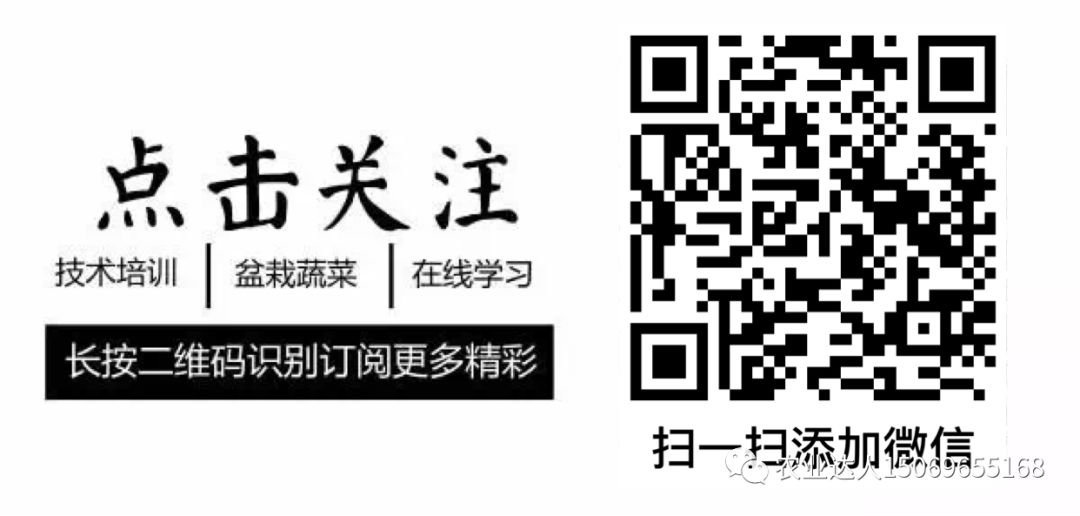 智能终端配肥机_到底什么是有机肥_比富得智能配肥机价格