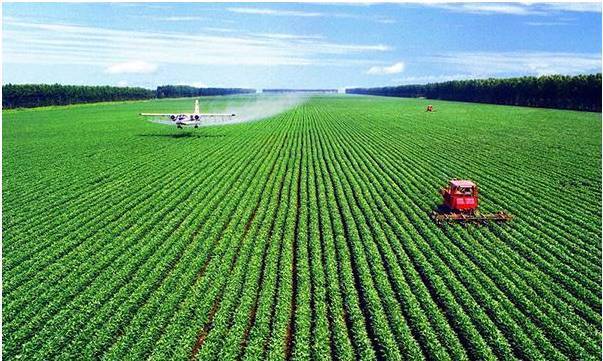 农业国际竞争力的概念_有机农业概念_现代化农业概念
