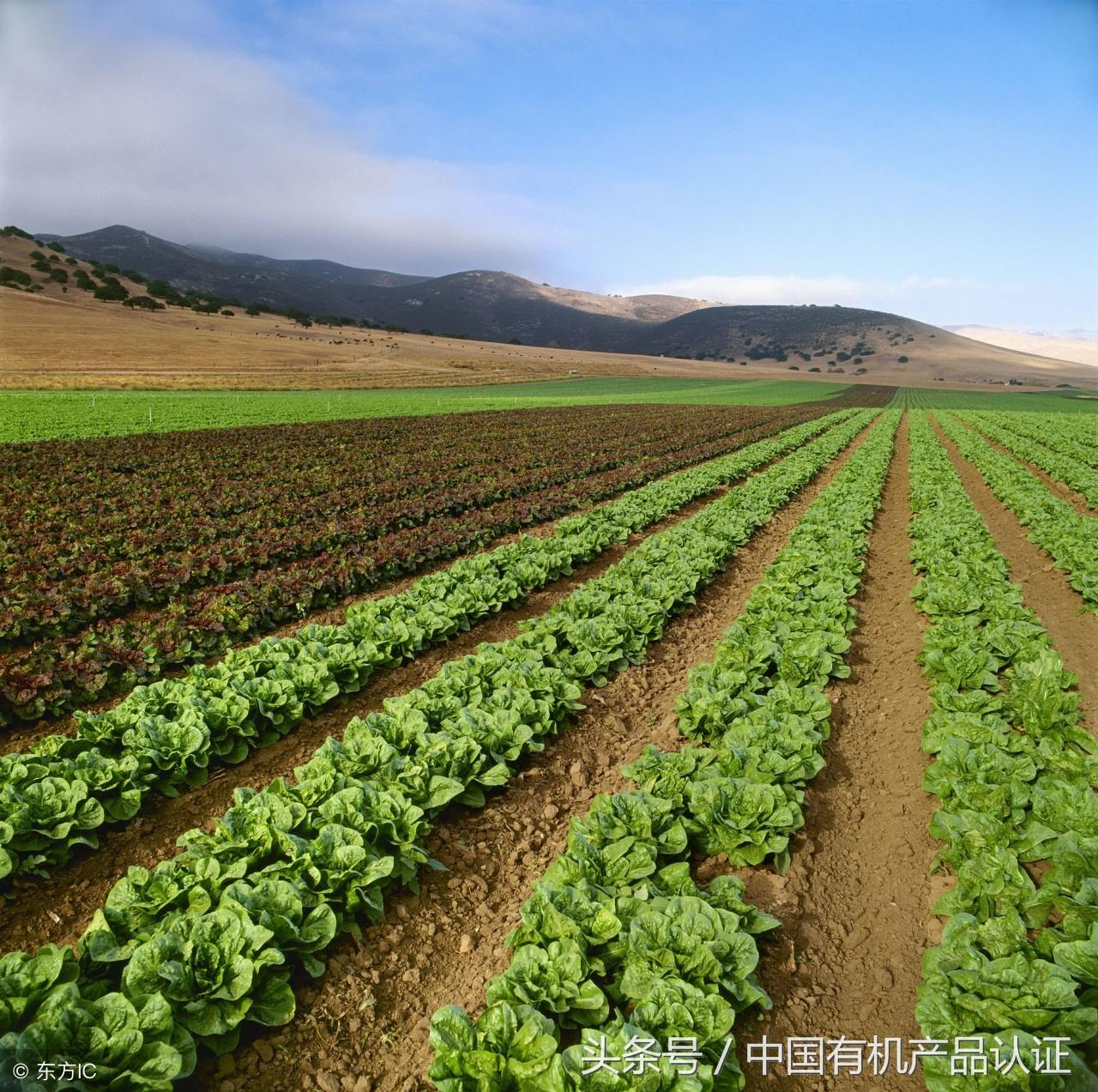 农业现代化的概念_农业政策调整概念_有机农业概念