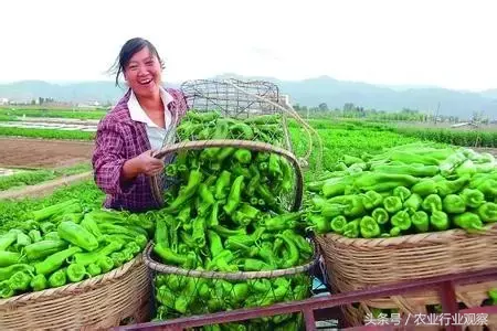 农业植保机作业质量_什么是有机农业_农业打药机喷头