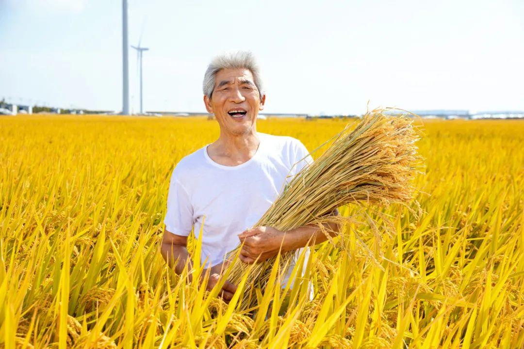 北京有机农业产业联盟_北京有水稻磨米机吗？_农业一二三产业融合