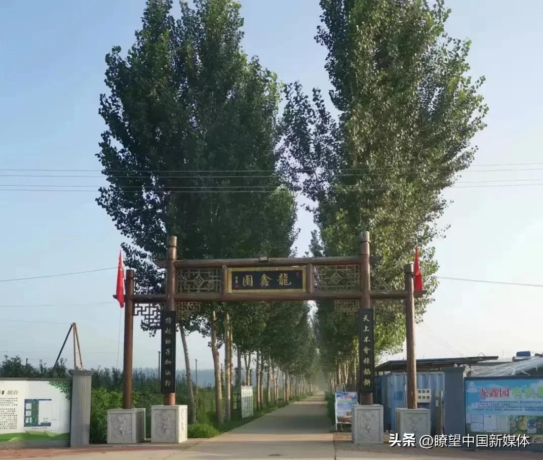 农业高新技术产业园区_农业互联网产业互联网的最后一片蓝海_北京有机农业产业联盟