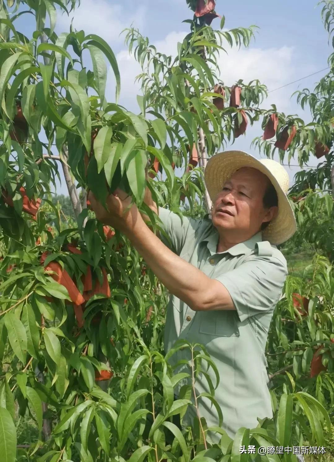 农业互联网产业互联网的最后一片蓝海_农业高新技术产业园区_北京有机农业产业联盟