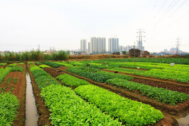 什么是有机农业_付临门pos机是一清机还是二清机_农业频道果园喷药机