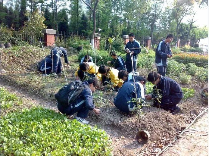 农业机楷展会_什么是有机农业_北京农业职业学院机电工程学院