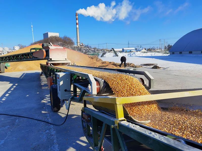 八五四分公司获欧盟标准双有机认证7500吨有机玉米