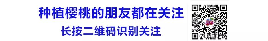 有机肥发酵技术_液体肥发酵_发酵粪肥是氨基酸肥吗