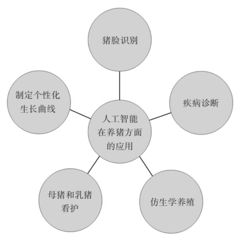 有机农业的痛点_有胸口右旁边点痛_螺纹凸点套套，痛