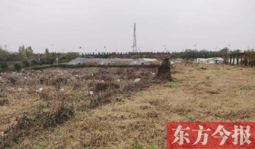 天天农场海岛制帽机_有机农场_qq农场刷机