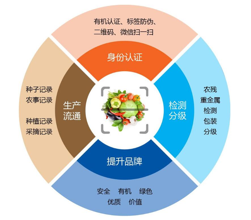 有机农业概念_互联网农业概念_现代化农业概念