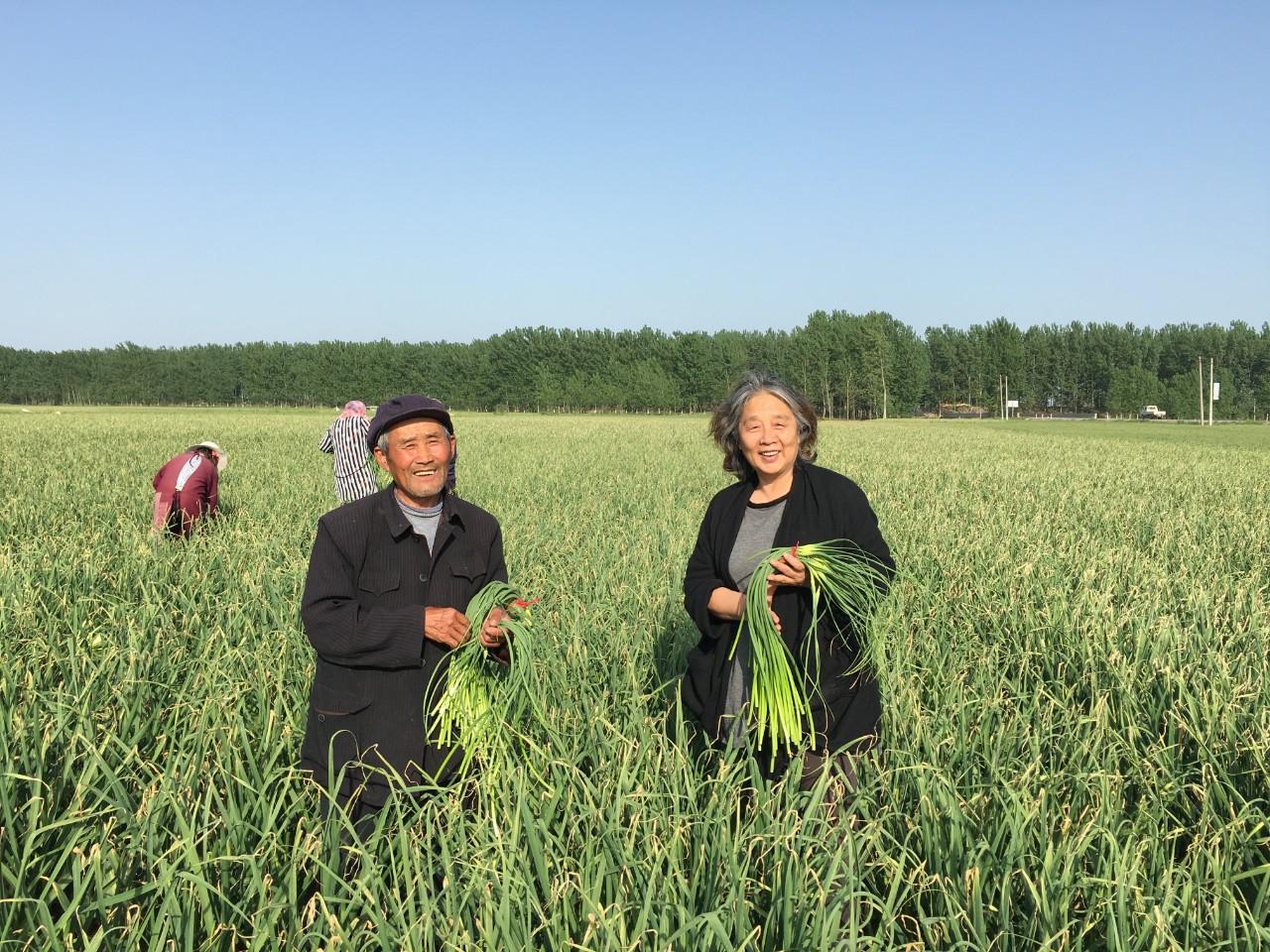 农业概念股票_有机农业概念_农业社会化服务体系与农业生产性服务体系是否同一概念