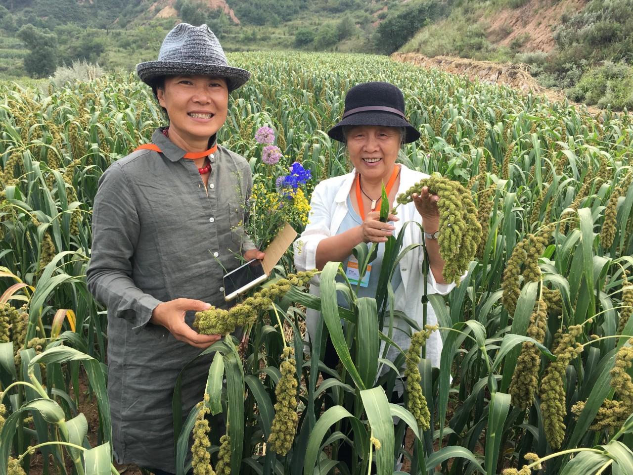 农业概念股票_有机农业概念_农业社会化服务体系与农业生产性服务体系是否同一概念