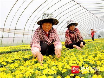 一人一本怎么刷机_中国有机农业第一人_自给自足一人农业百度云