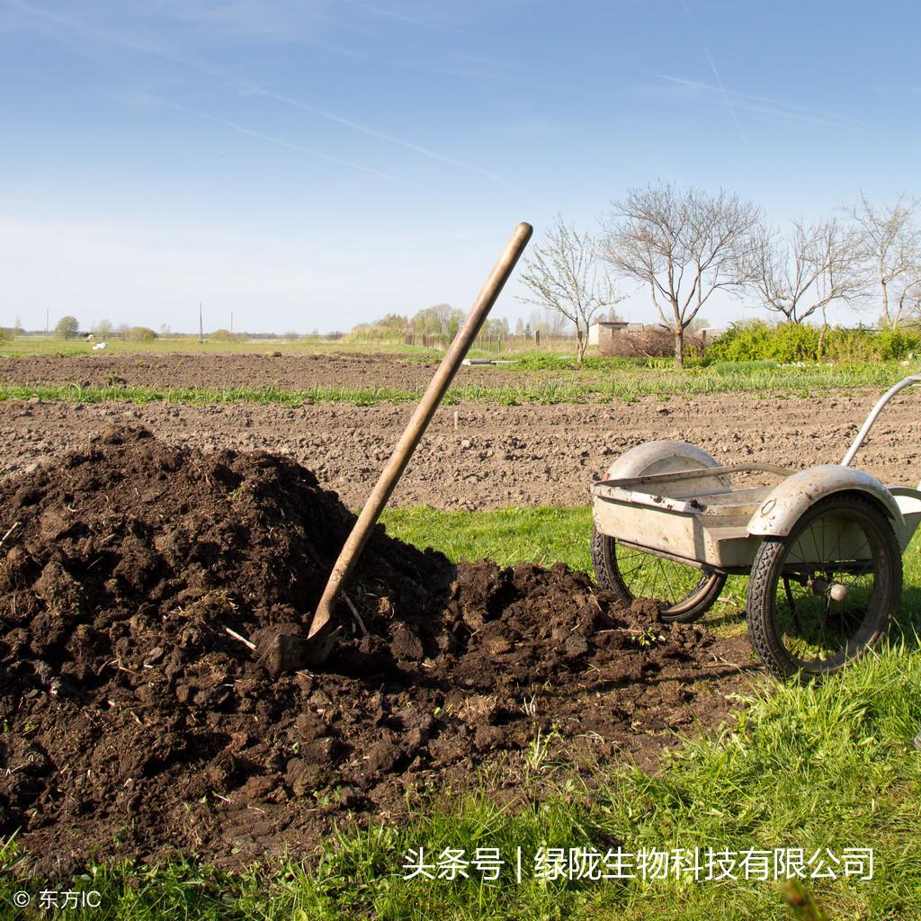 人粪尿发酵肥_有机肥发酵技术_豆渣发酵是什么肥