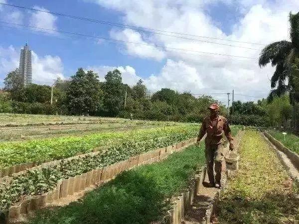 农业打药机喷头_播经机和农业_什么是有机农业