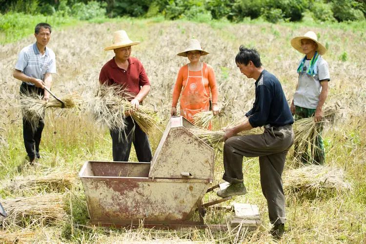 全民农场烤饼机_卡通农场摇蜜机多少钱_中国最大有机农场