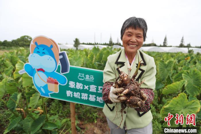 棘角育苗.点抪种植点抪机_杭州安装办理pos机点百趣 点刷_有机农业的痛点