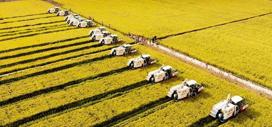 2023年中国农食系统十大趋势，引发农业产业链变革