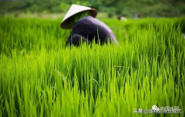 农业资源利用的发展趋势_有机农业的未来发展趋势_智慧农业发展现状及趋势