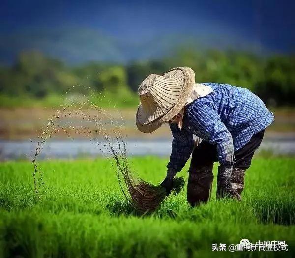 有机农业的未来发展趋势_智慧农业发展现状及趋势_农业资源利用的发展趋势