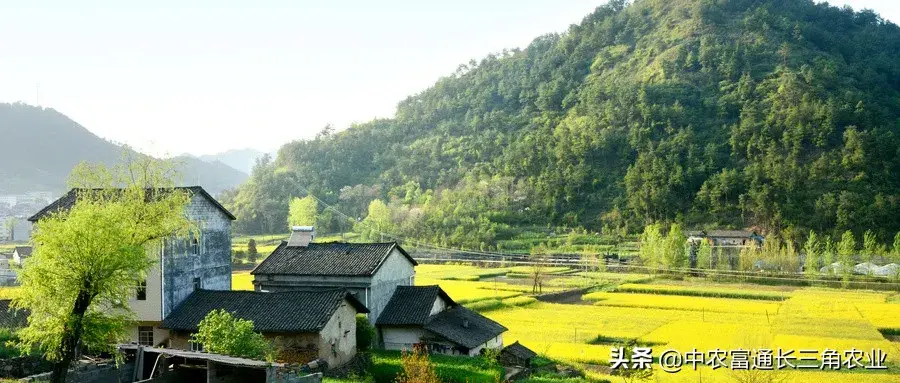 点刷pos机有多重一个_一夜缠绵2哥哥温柔点痛_有机农业的痛点