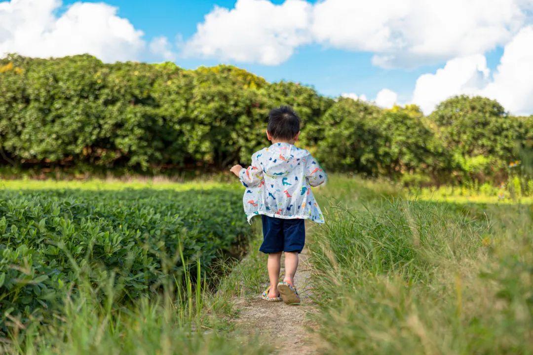 有胸口右旁边点痛_头两侧翼点痛怎么办_有机农业的痛点