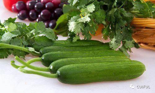 有机物和无机物的区别含碳能_有机蔬菜与无机蔬菜的区别_有机物和无机物的区别