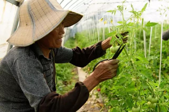 卡通农场果酱机价格_有机农场_美腰机收腹机瘦腰机有用吗