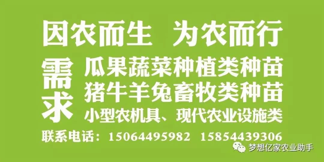 有机农业认证好处_中国有机农业市场前景_有机农产品的市场前景