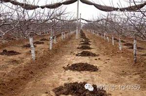 到底什么是有机肥_有机肥原料选择_有机肥生产工艺