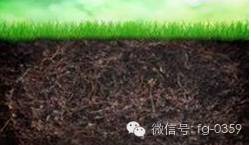 到底什么是有机肥_有机肥生产工艺_有机肥原料选择