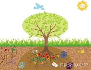 到底什么是有机肥_有机肥生产工艺_有机肥原料选择