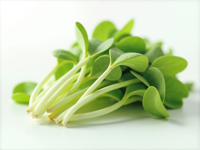 有机食品和绿色食品的区别_深色蔬菜抗氧化_蔬菜预防痴呆症