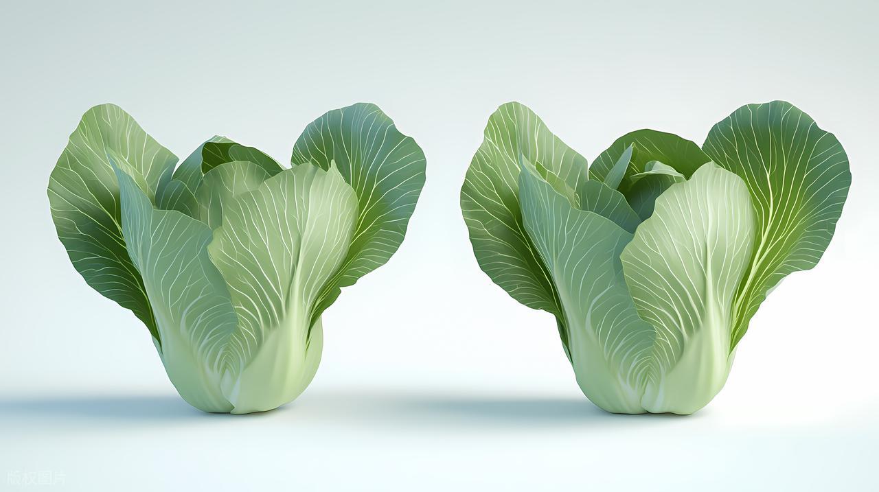 深色蔬菜抗氧化_有机食品和绿色食品的区别_蔬菜预防痴呆症