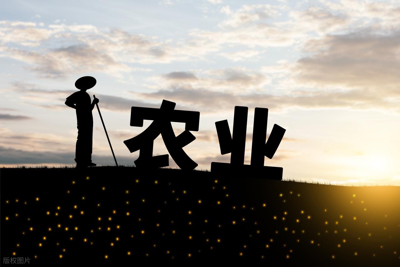 农村电商直播_中国有机农业发展现状和前景_新农人创业故事