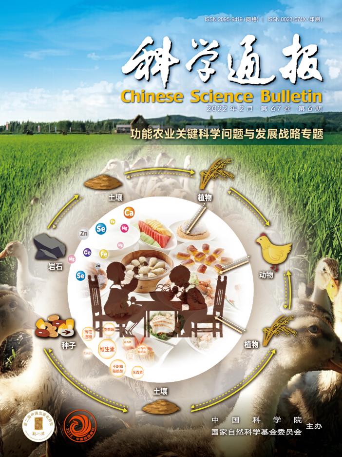  2024功能农业发展趋势_中国有机农业发展现状和前景_中国功能农业产业发展报告