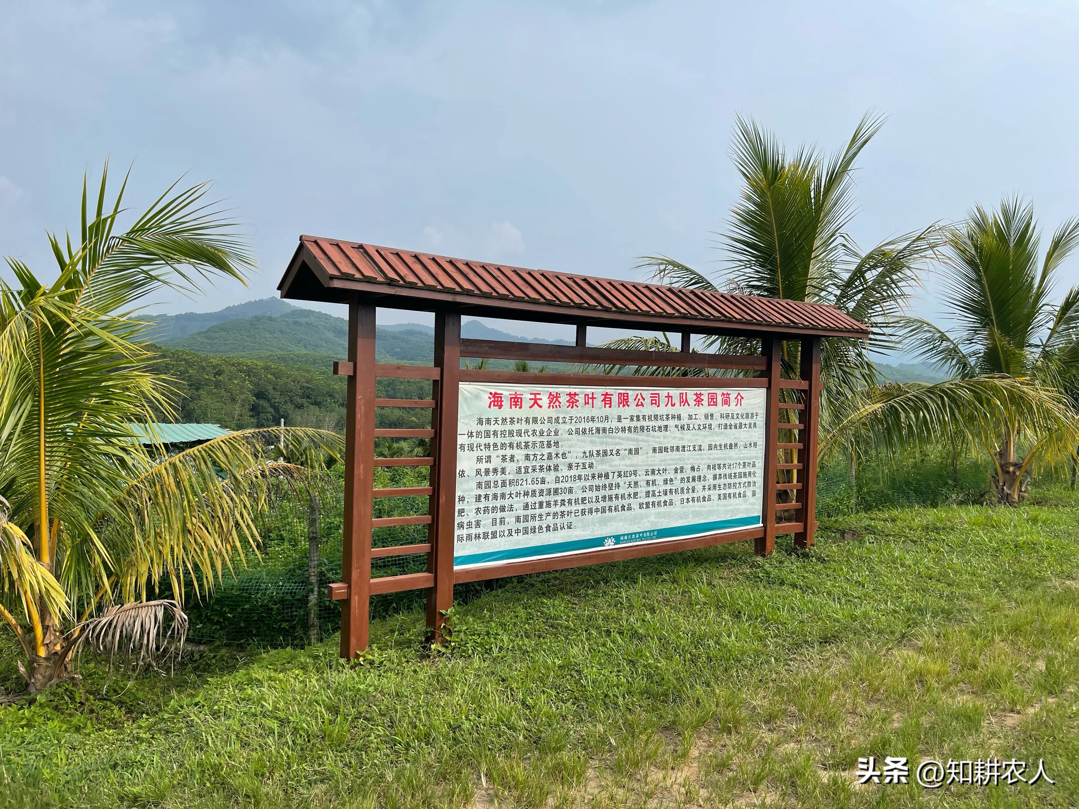 中国有机农产品价格变化分析_有机农业生产的现状与发展_有机农产品价格影响因素