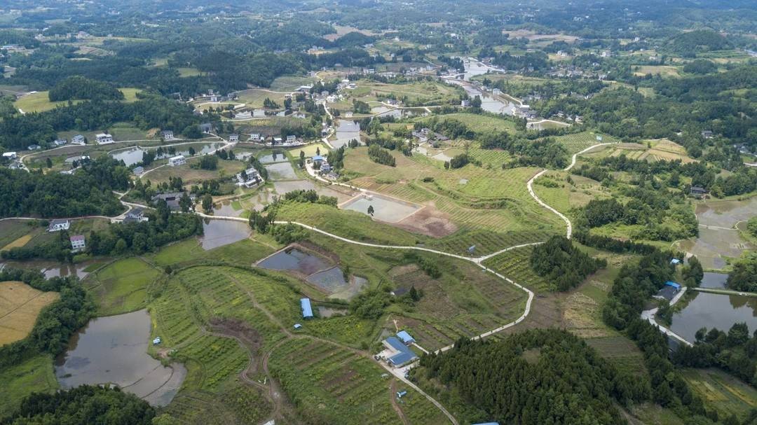 有机农业发展前景_西充县有机农业发展_四川西充县新农人数量