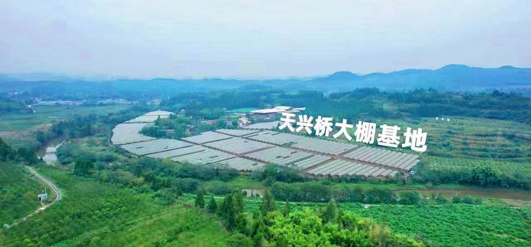 西充县有机农业发展_四川西充县新农人数量_有机农业发展前景